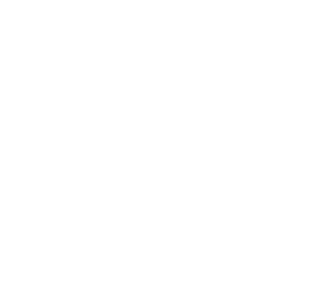 Twitter Logo